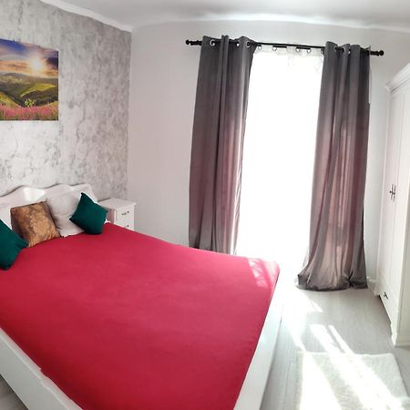 Apartament Gabriela بايا ماري المظهر الخارجي الصورة